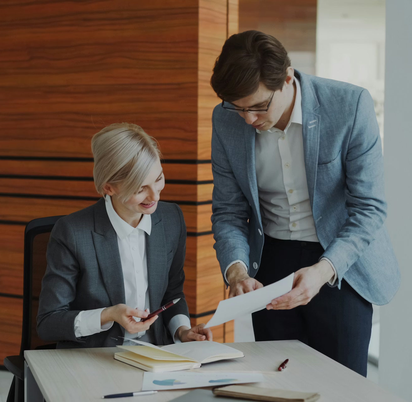 Government Program Advisory and Due Diligence