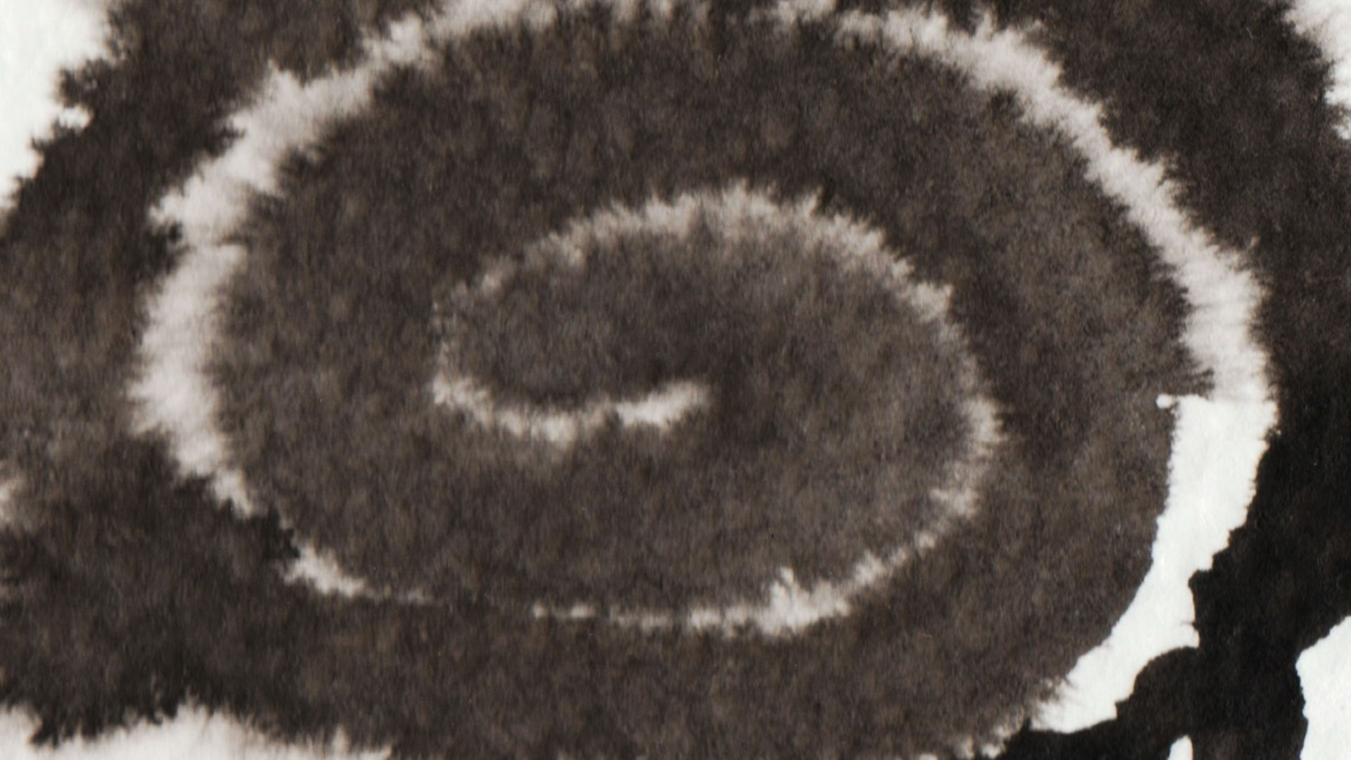 Large illuminated yellow advertisement with Ukrainian text displayed on a building, partially obscured by a leafless tree at night.