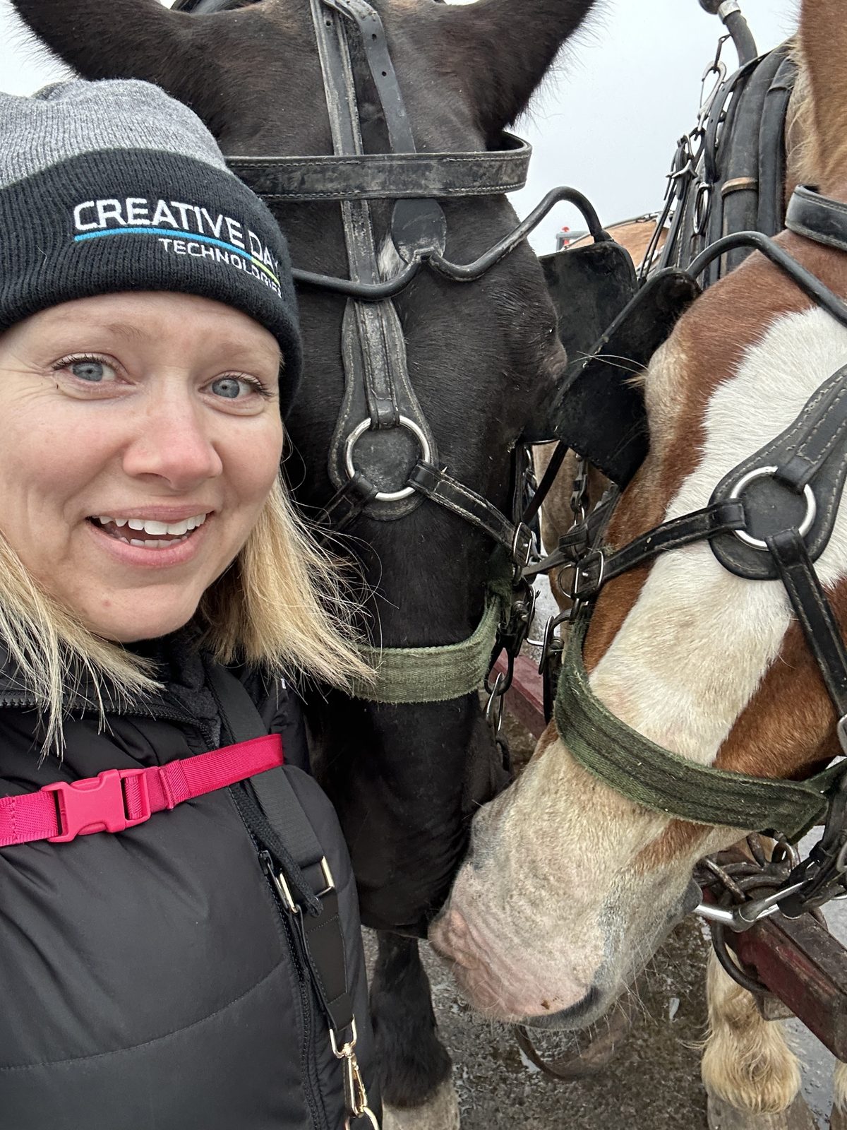 A Creative Day crew member beside a draft horse harnessed to a dray