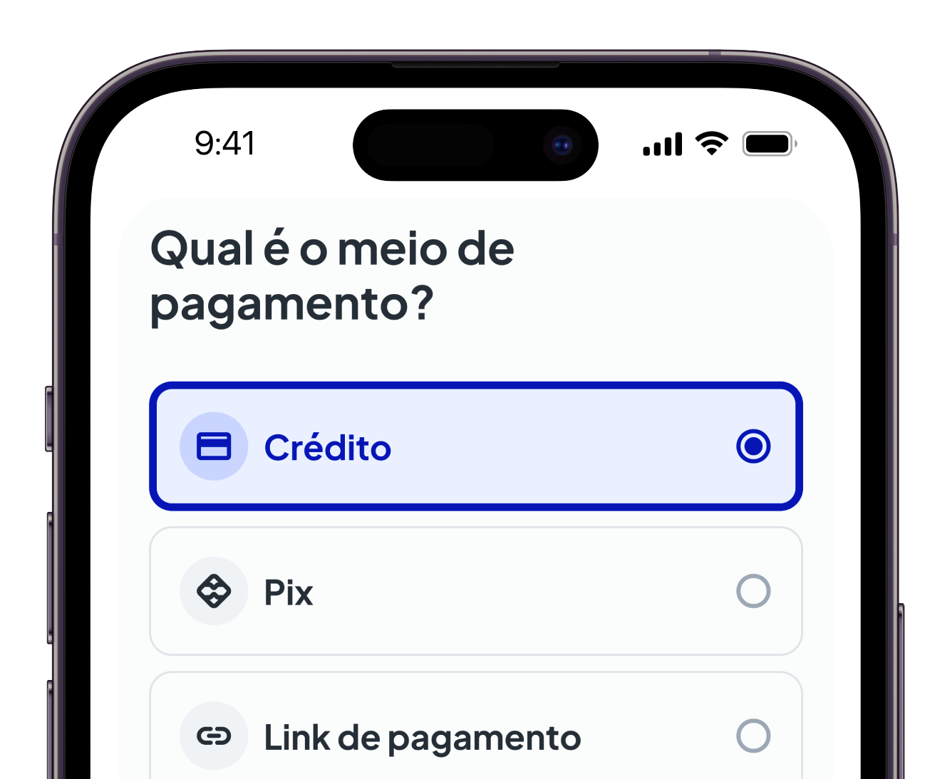 mockup iglu payment method