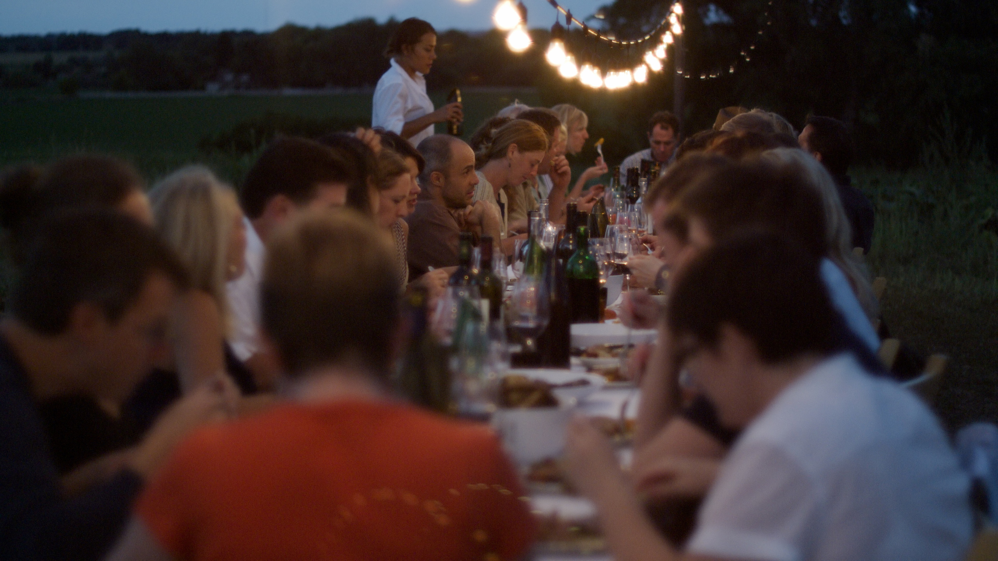 MeadowLark Farm Dinners