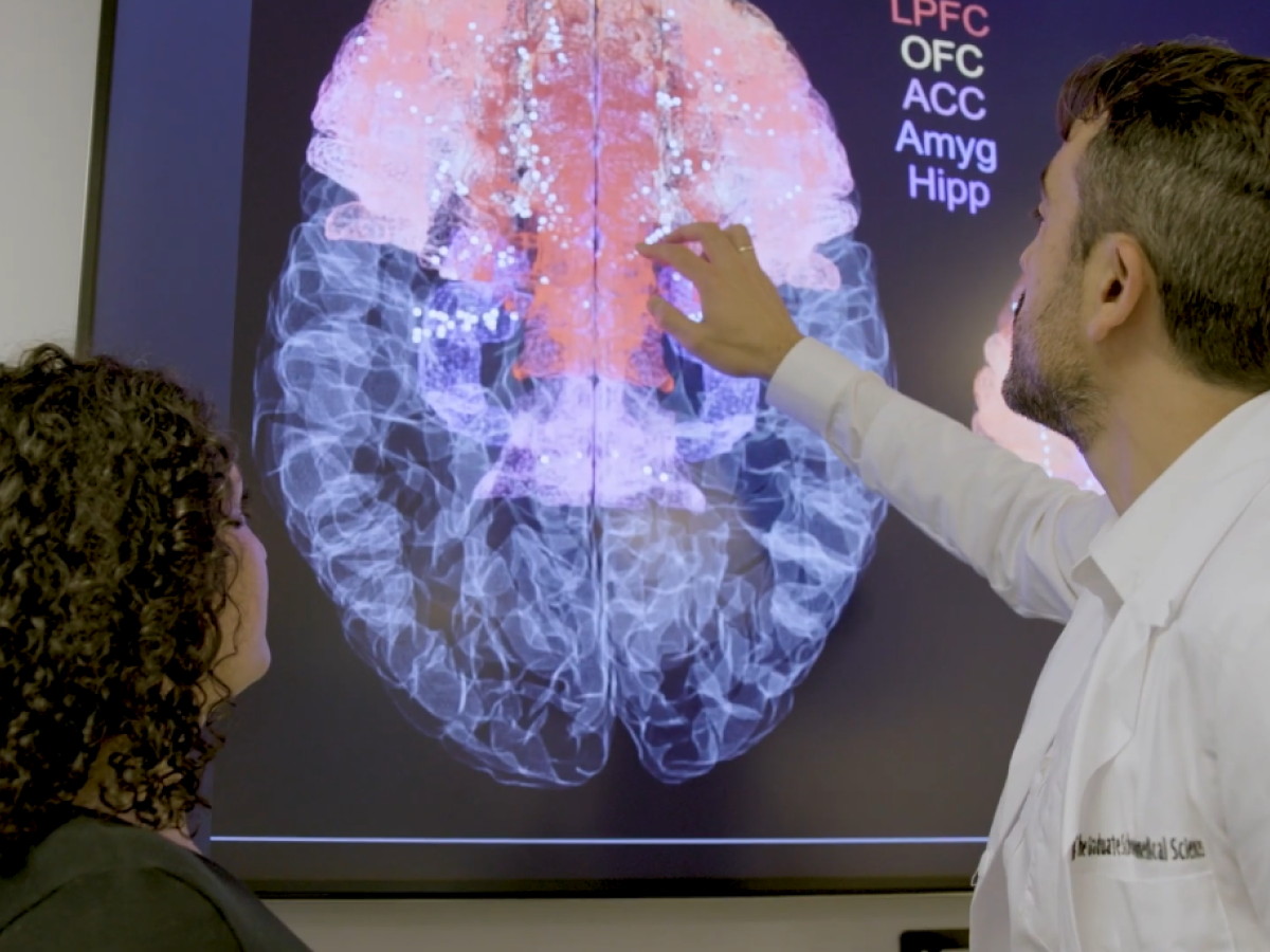 Doctor pointing to a brain scan on a large display while explaining highlighted brain regions to a colleague.