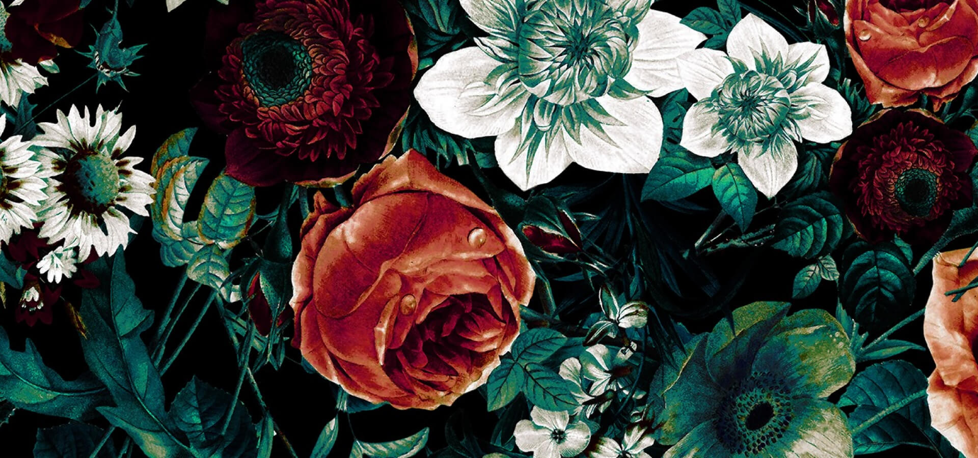 Duck & Rose