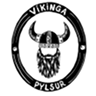 Víkinga Pylsur