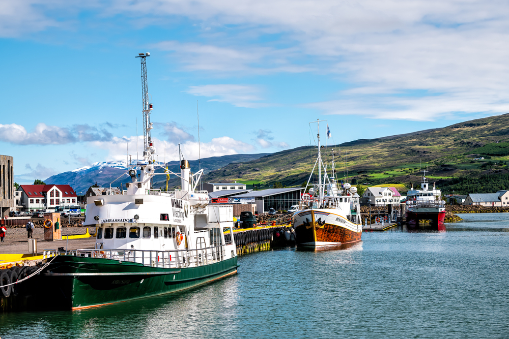 Akureyri Shore Excursions You Can Do Independently