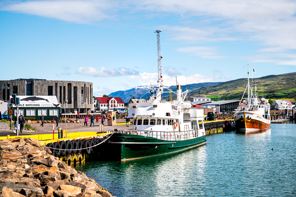Akureyri Shore Excursions You Can Do Independently