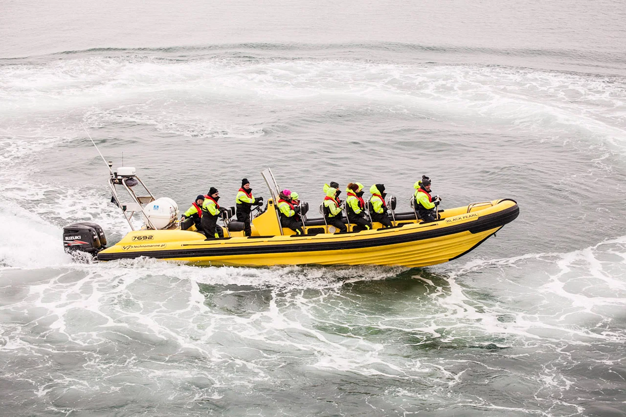 Puffin watching on the RIB speedboat tour from downtown Reykjavik