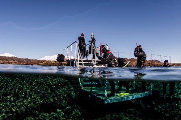Snorkelers exiting the platform at Silfra lagoon, Iceland
