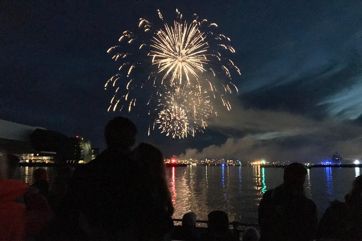 Scenery on the New Year's Eve Fireworks Cruise in Reykjavik