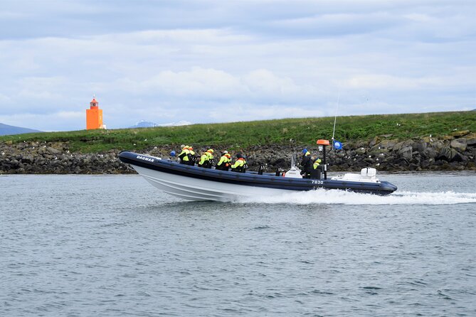 Scenery on the Puffin Express by RIB Speedboat tour, Iceland