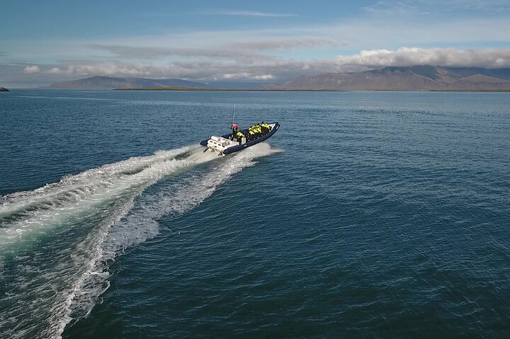 Highlights of the Puffin Express by RIB Speedboat tour