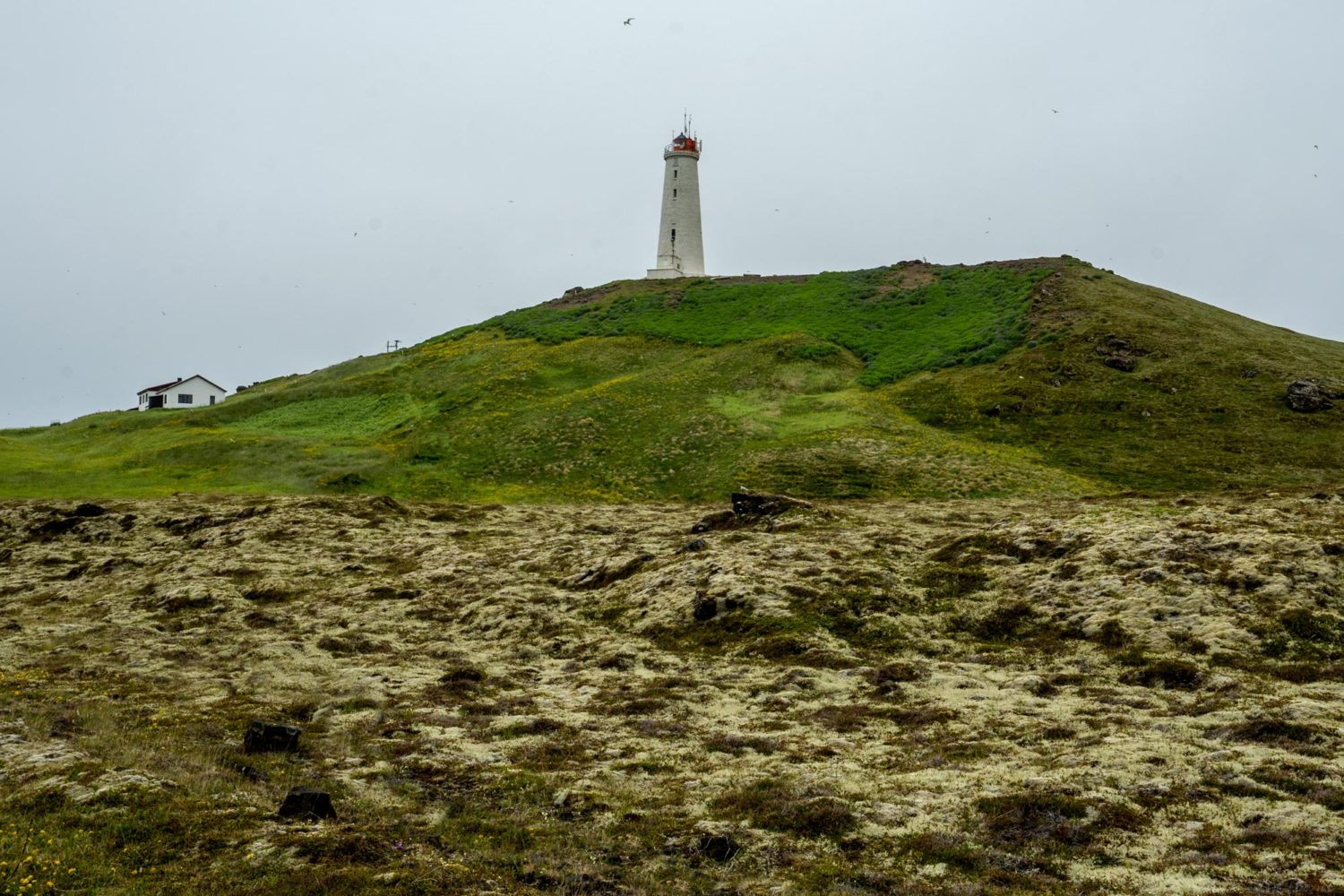Reykjanesviti, Iceland
