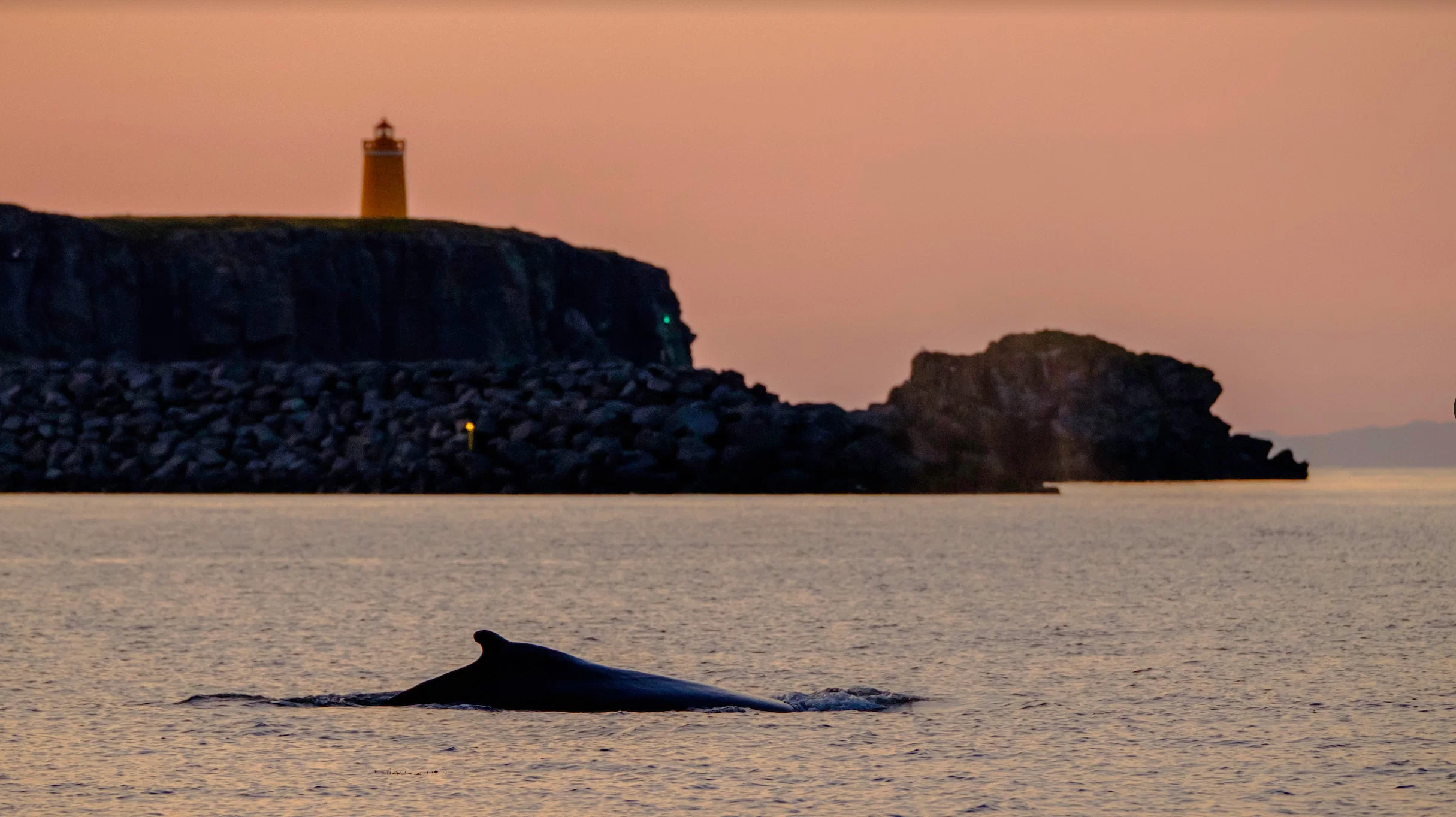 Icelandic scenery on Akureyri Express Whales in the Midnight Sun