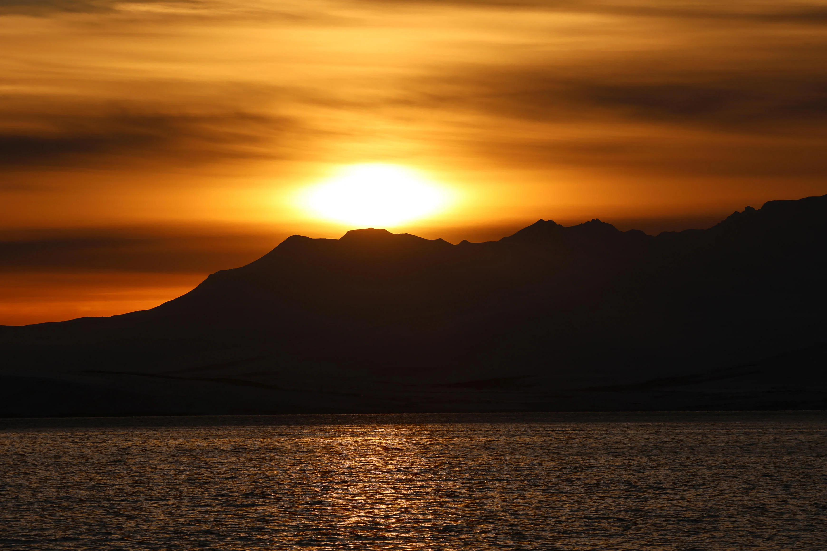 Highlights of Akureyri Express Whales in the Midnight Sun