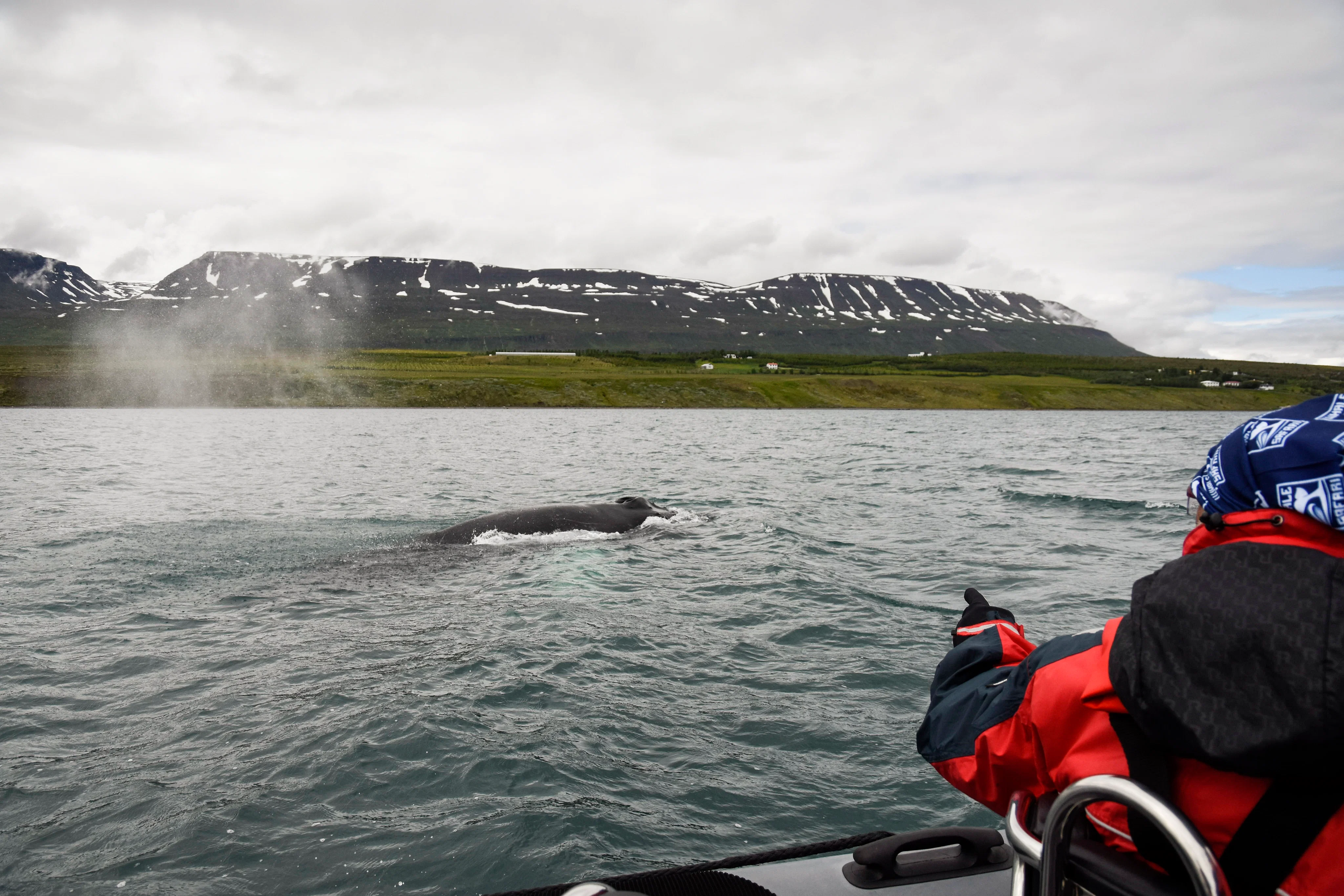 Views from Akureyri Express Whales & Eyjafjord