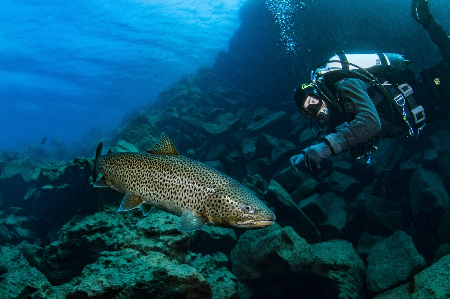 Scenery on Davíðsgjá Dive Tour