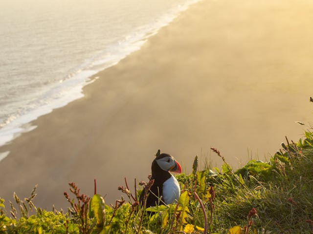 Sights along 3 Day Summer Minibus Tour: South Coast, Glacier Hike and Golden Circle