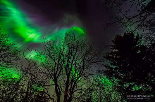 Icelandic scenery on 2-Day Golden Circle, South Coast and Northern Lights winter tour