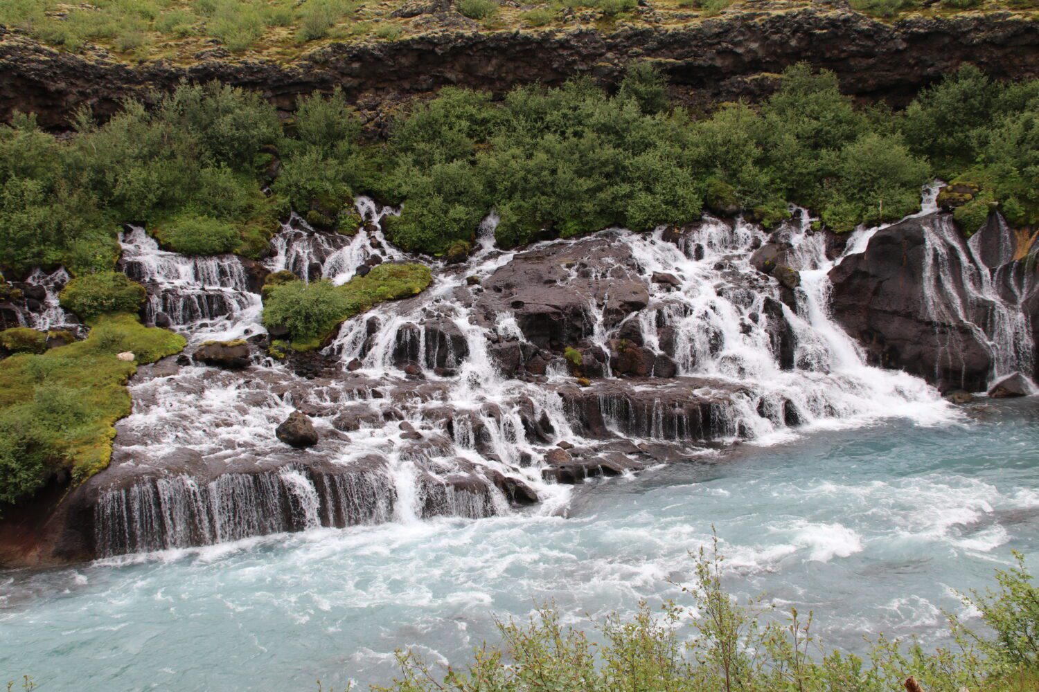 Highlights of Westfjords Snæfellsnes Borgarfjörður 5 day tour