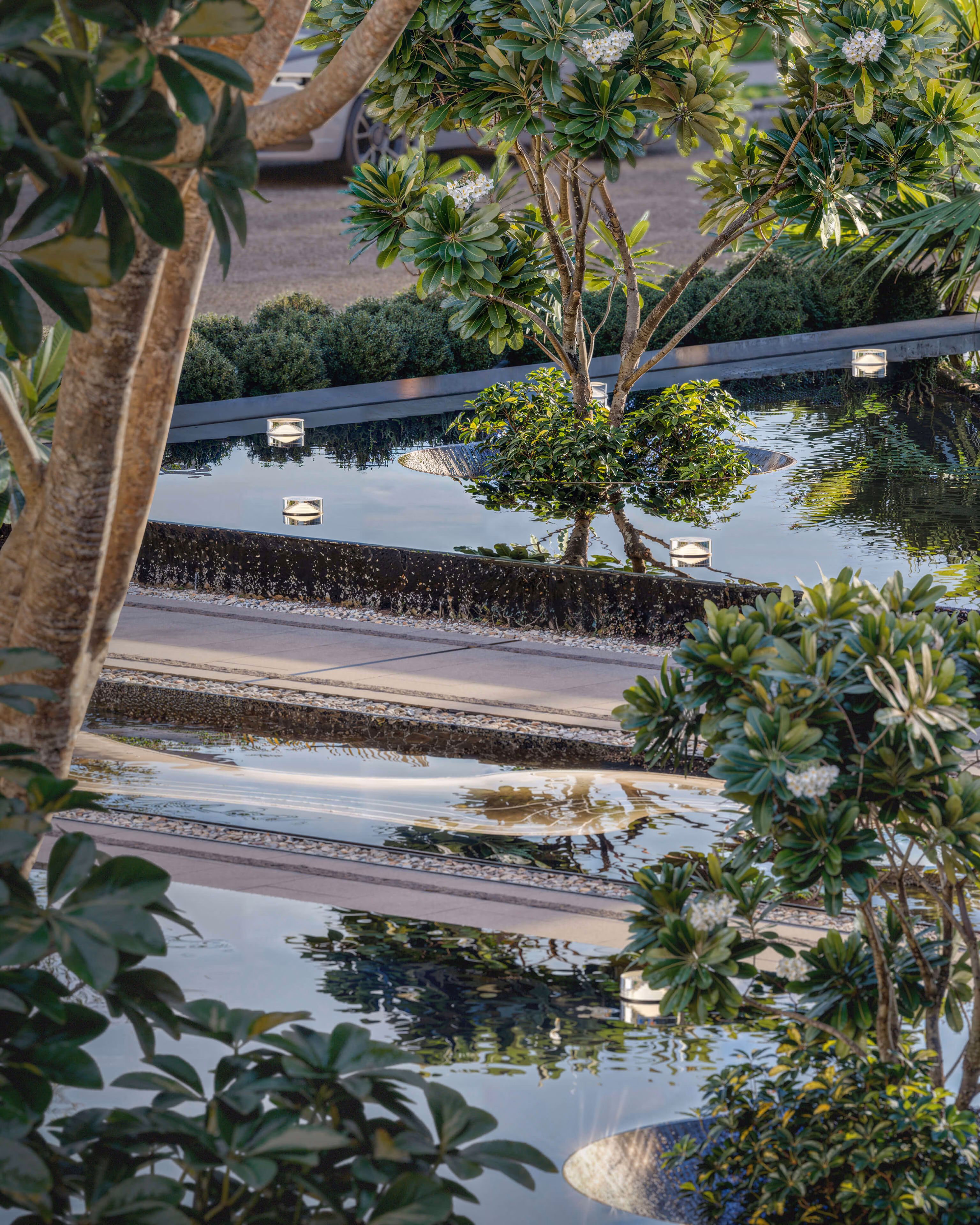 Garden with stepped pools, trees and walkways between stretches of water.
