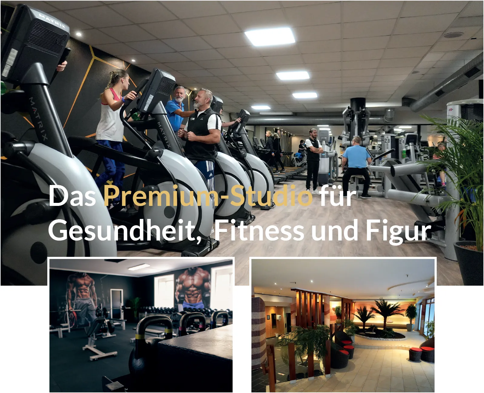 Bildergallerie des Fitnessstudio Löwe