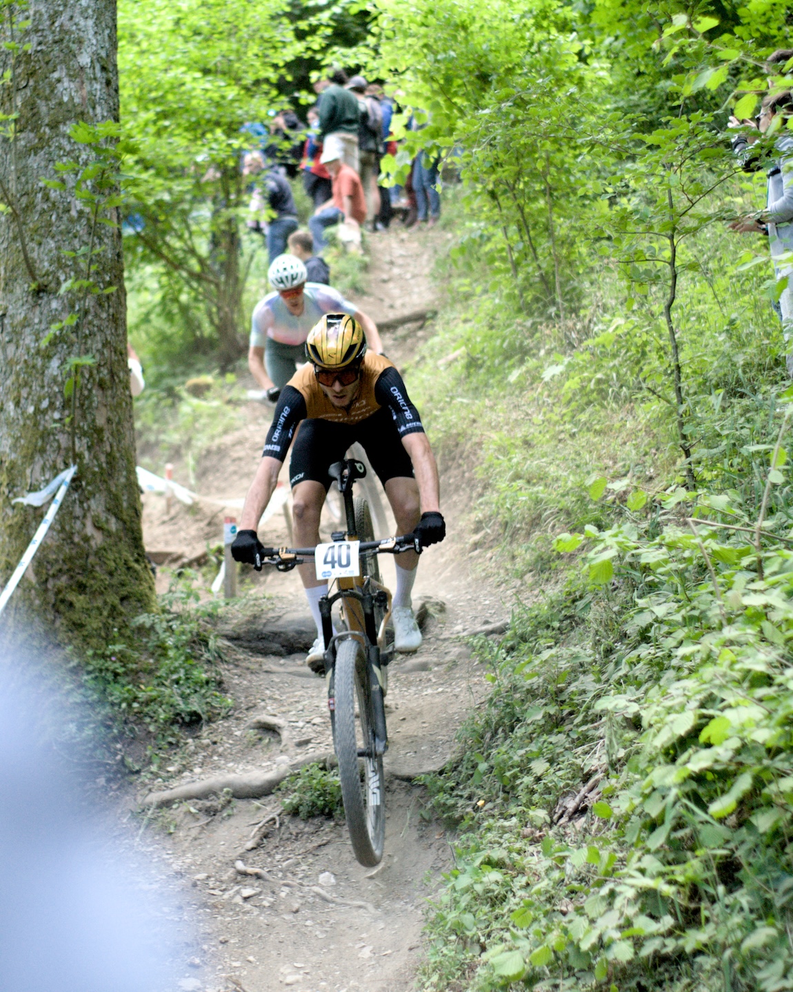 Mountainbiker going downhill, wearing Lycra and descending a mob trail