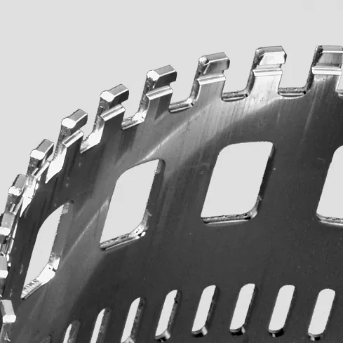 Speed sensor slots on clutch plate carriers