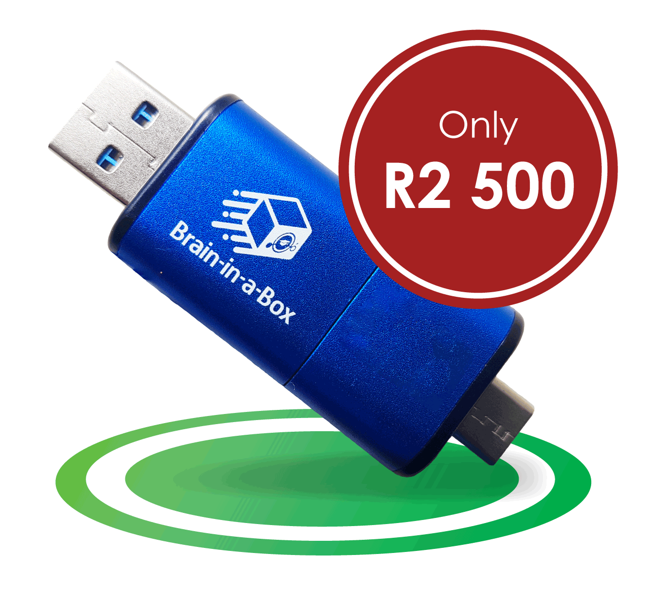 Photo of the Brain in a box USB