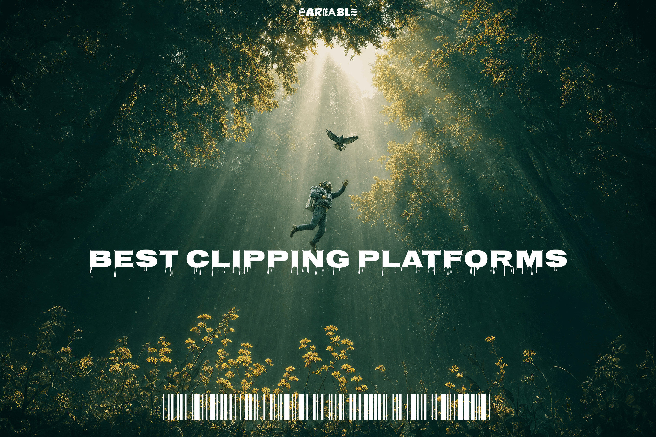 Best Clipping Platforms Compared 2026