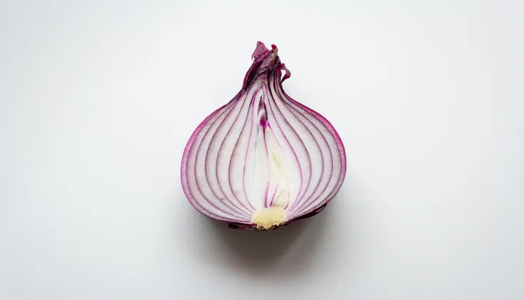 Image of onion.