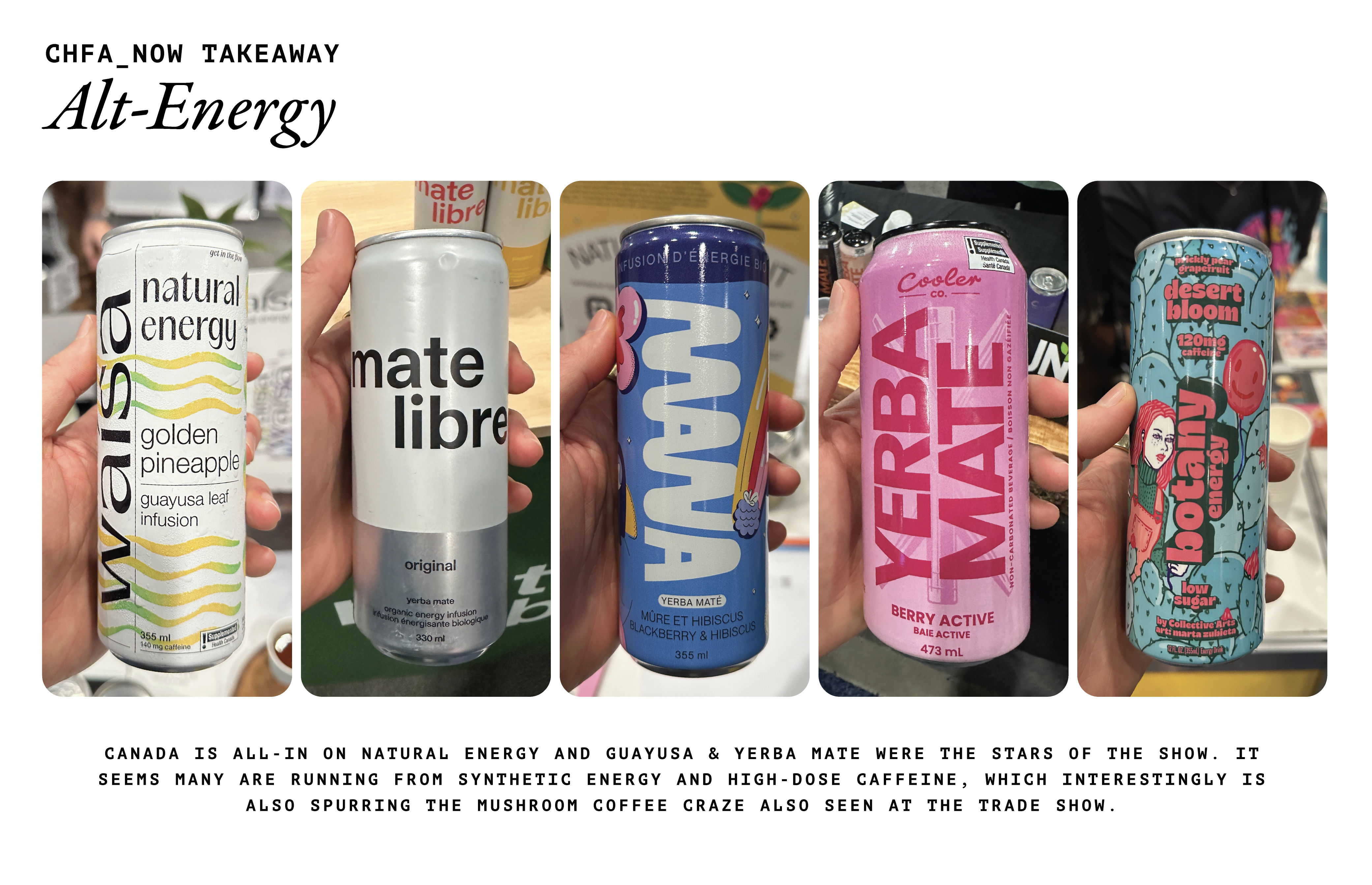 Guayusa and yerba maté drinks presented as natural energy sources.