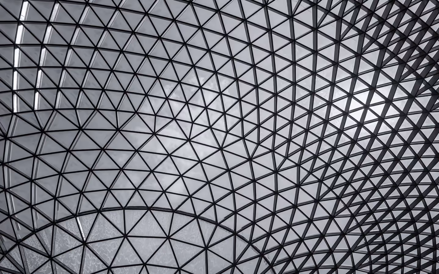 Curved glass ceiling with a black metal framework creating a geometric pattern.