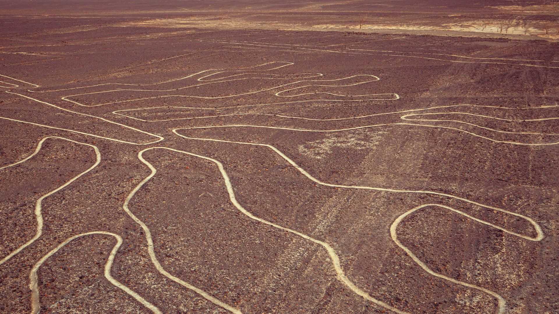 Nazca Lines
