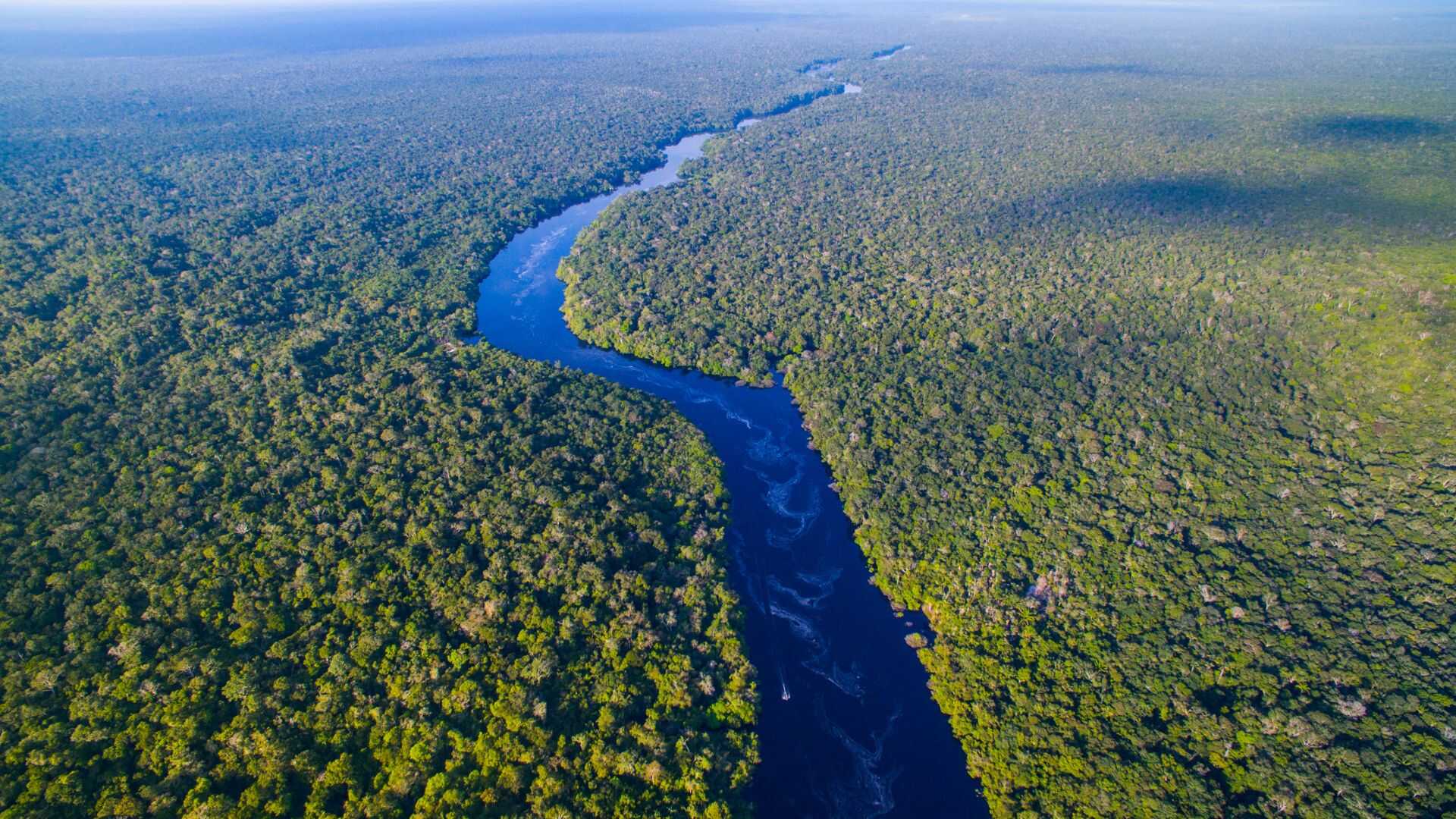 Amazonie