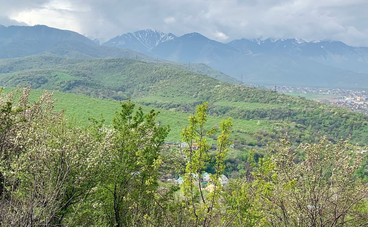 Mergin Maps case studies -  Protecting historic Almaty orchards with Mergin Maps and Gemini