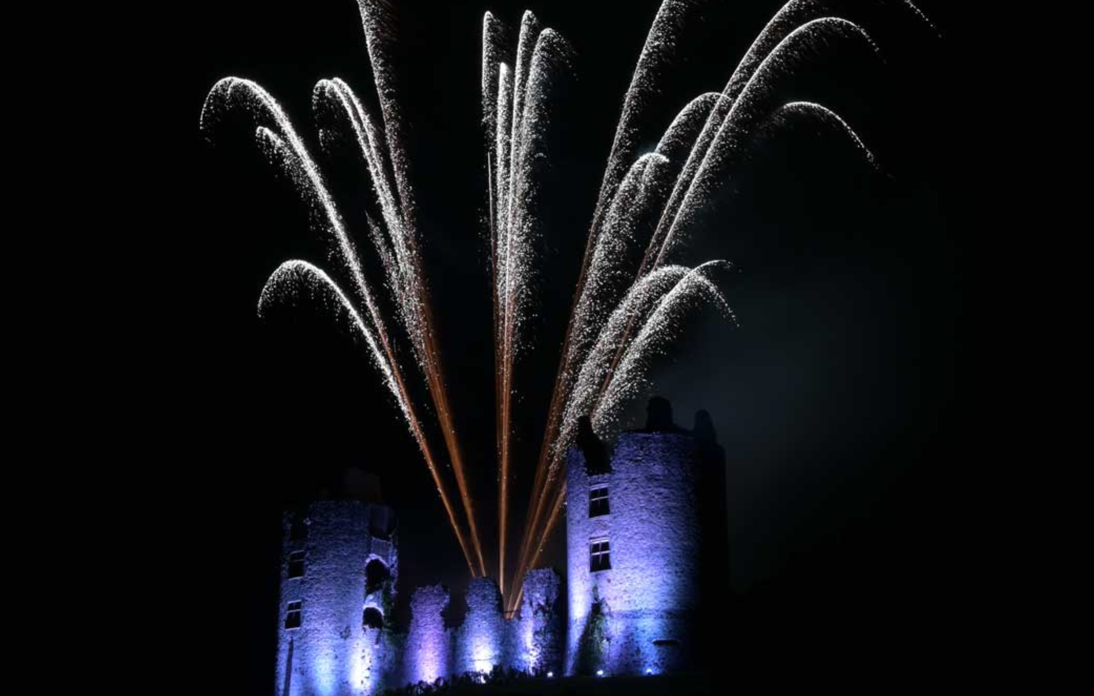 feu d'artifice face a un chateau illuminé