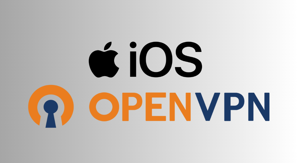 iOS OpenVPN Manual Setup Guide