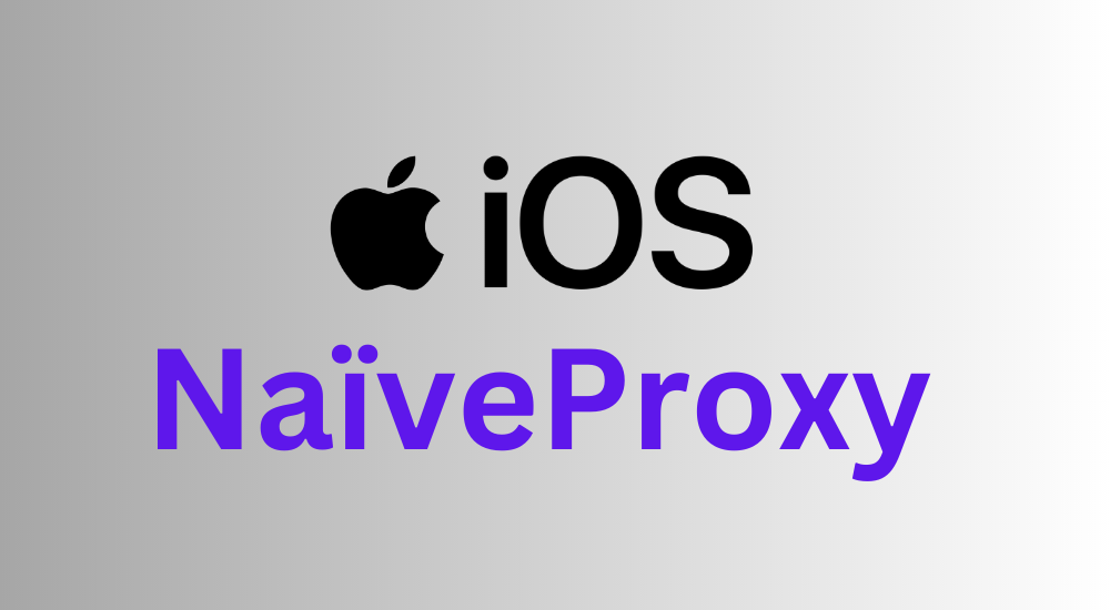 iOS NaiveProxy Manual Setup Guide