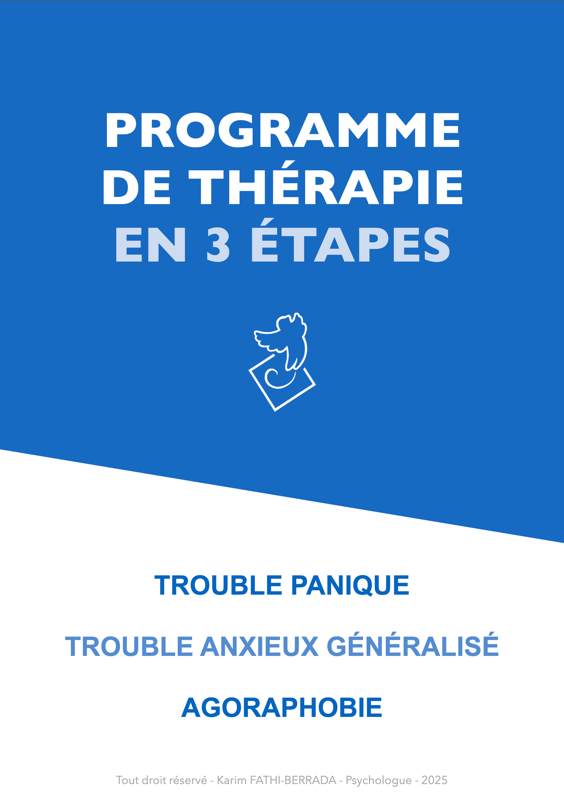 couverture ebook psy