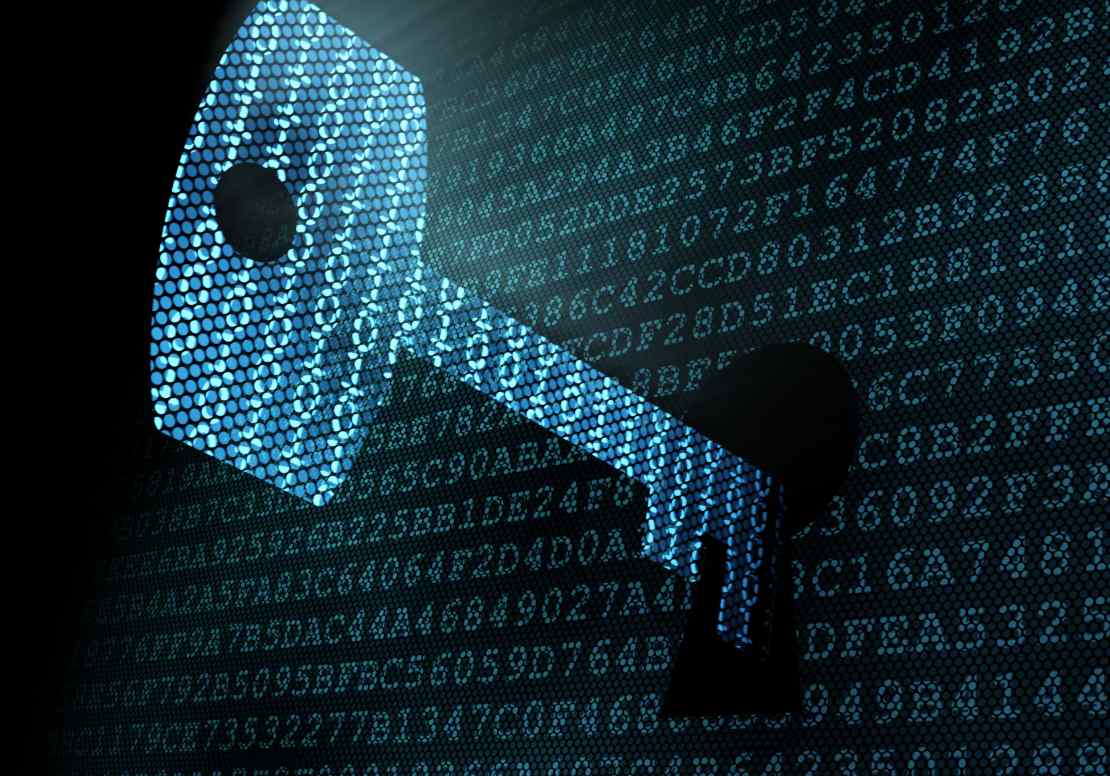 criptogradia-dados