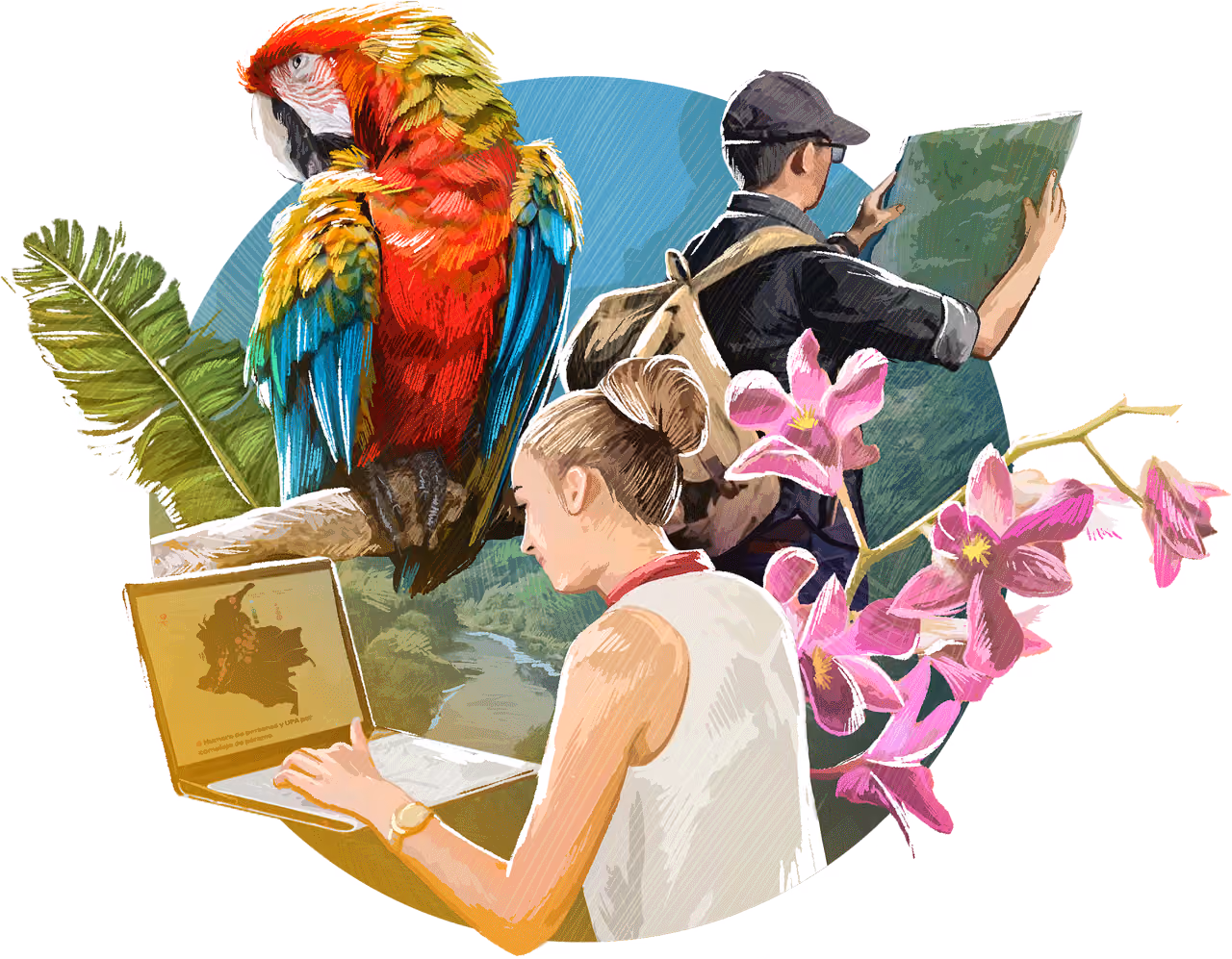 Ilustración biodiversidad de Colombia por el instituto Humboldt