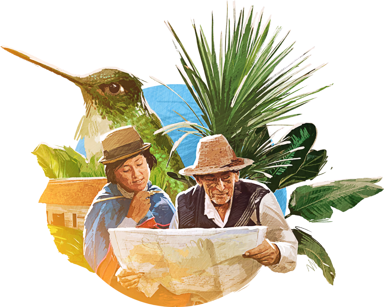 Ilustración biodiversidad de Colombia, aves, plantas y personas, Instituto Humboldt