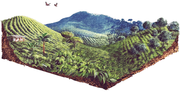 Ilustración campo colombiano, montañas, Instituto Humboldt