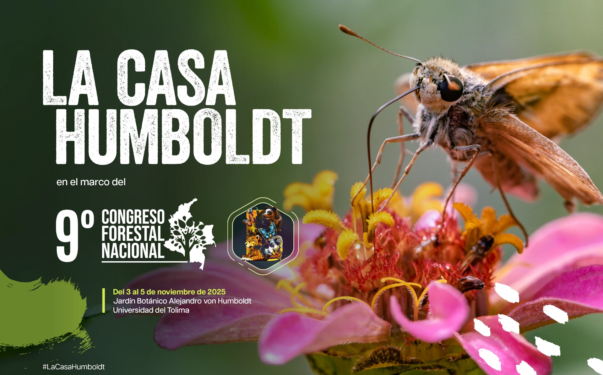 Planta en crecimiento