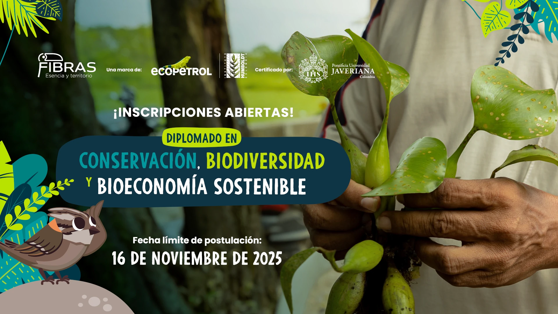 Planta en crecimiento