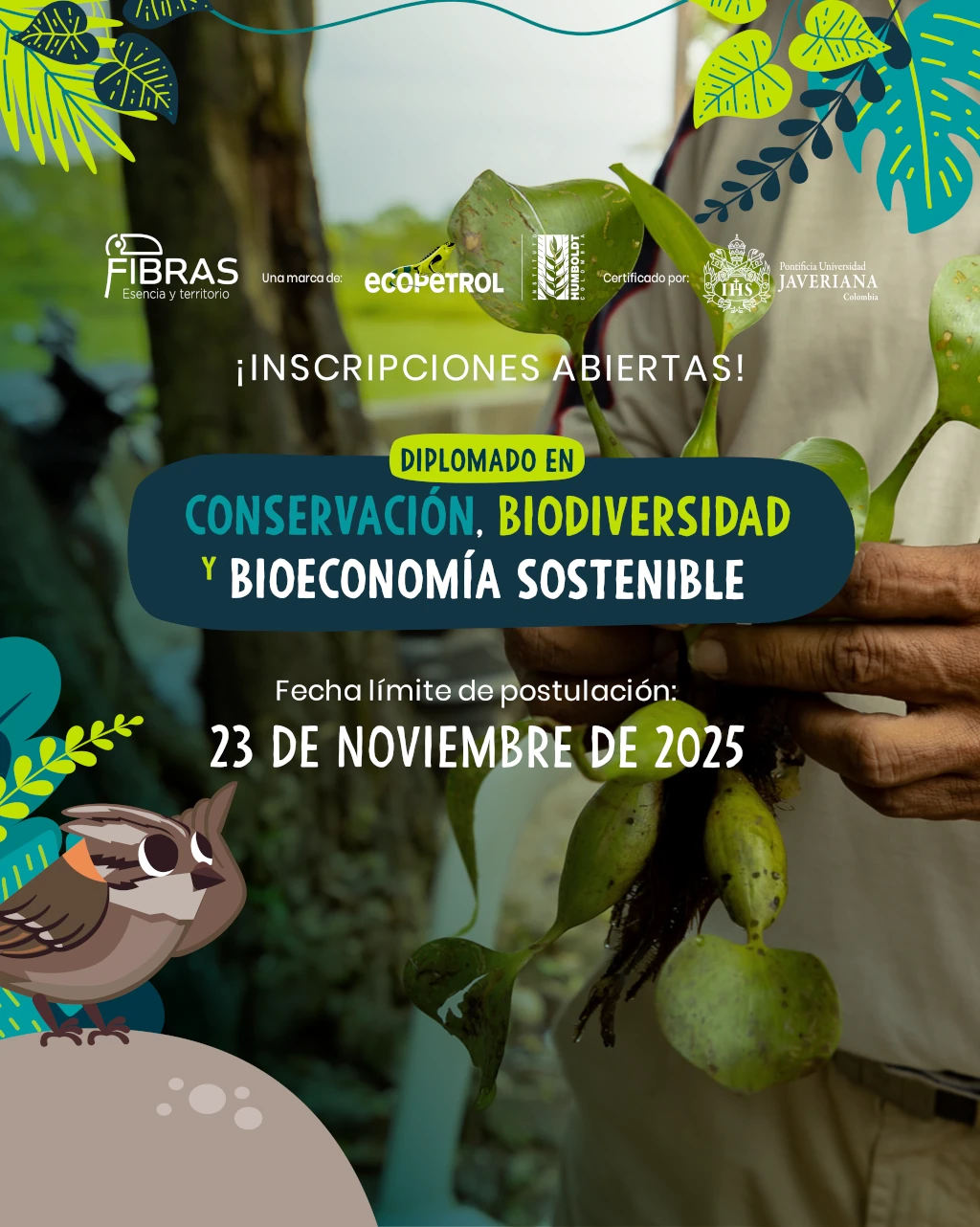 Planta en crecimiento