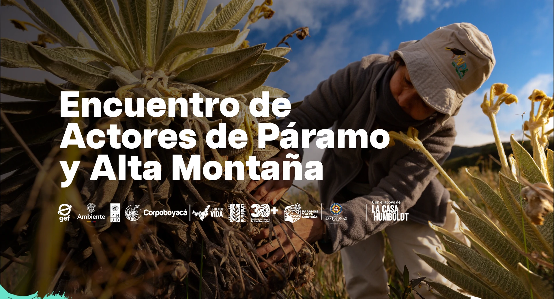 Planta en crecimiento