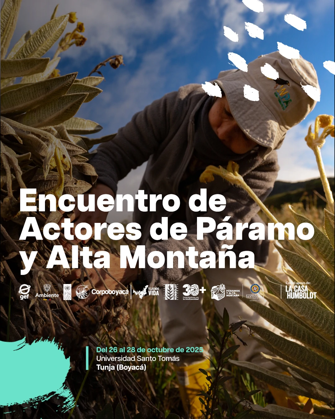 Planta en crecimiento