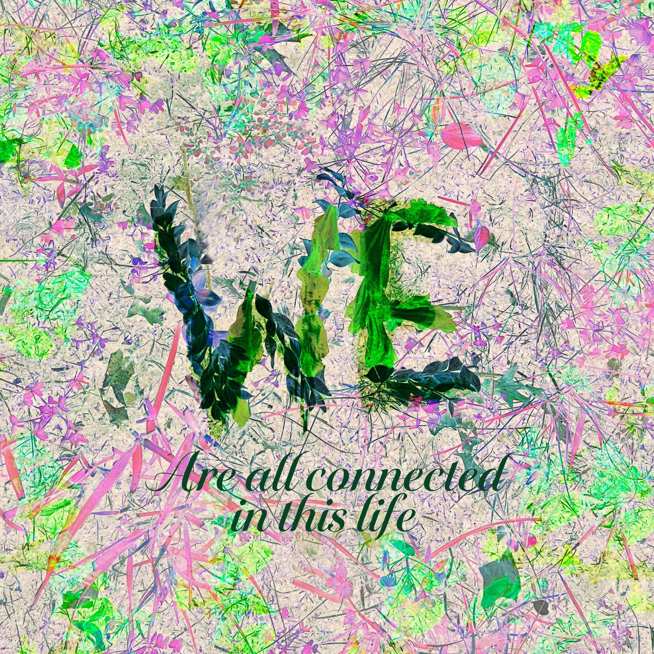 We are all connected in this life, creative jam 5.0, Jessica Papa