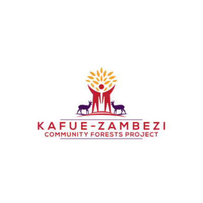 Impact Monitoring Officer